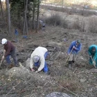20112308130806-493.jpg